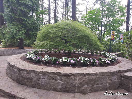 Park «Rocky Butte Park», reviews and photos, NE Rocky Butte Rd, Portland, OR 97220, USA