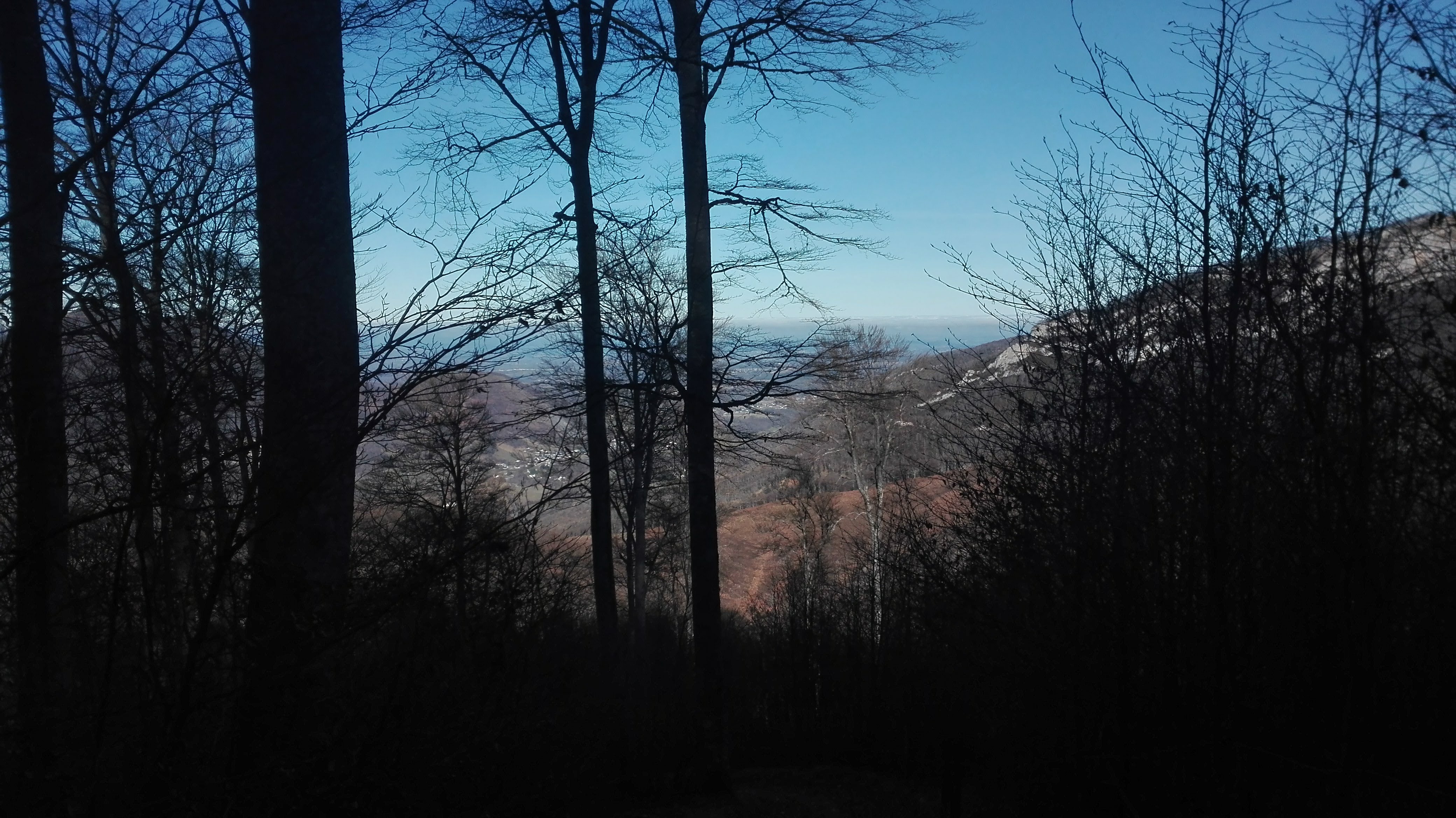 Photo n° 5 de l'avis de LOUIT.O fait le 15/01/2019 à 15:47