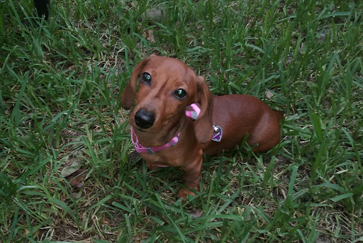 Park «John Williams Park», reviews and photos, 6101 Sheridan St, Hollywood, FL 33021, USA