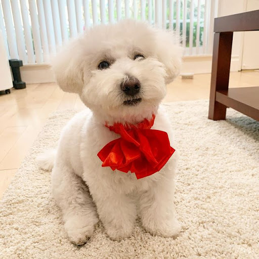 Pet Supply Store «Texas City Feed & Supply», reviews and photos, 2031 Texas Ave, Texas City, TX 77590, USA