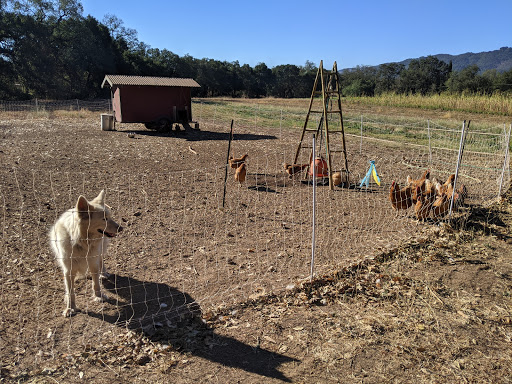 Farm «Oak Hill Farm», reviews and photos, 15101 CA-12, Glen Ellen, CA 95442, USA