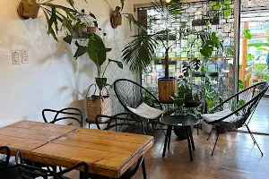 Café Botánico image