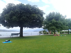 Photo de Strandbad Oberrieden zone de station balnéaire