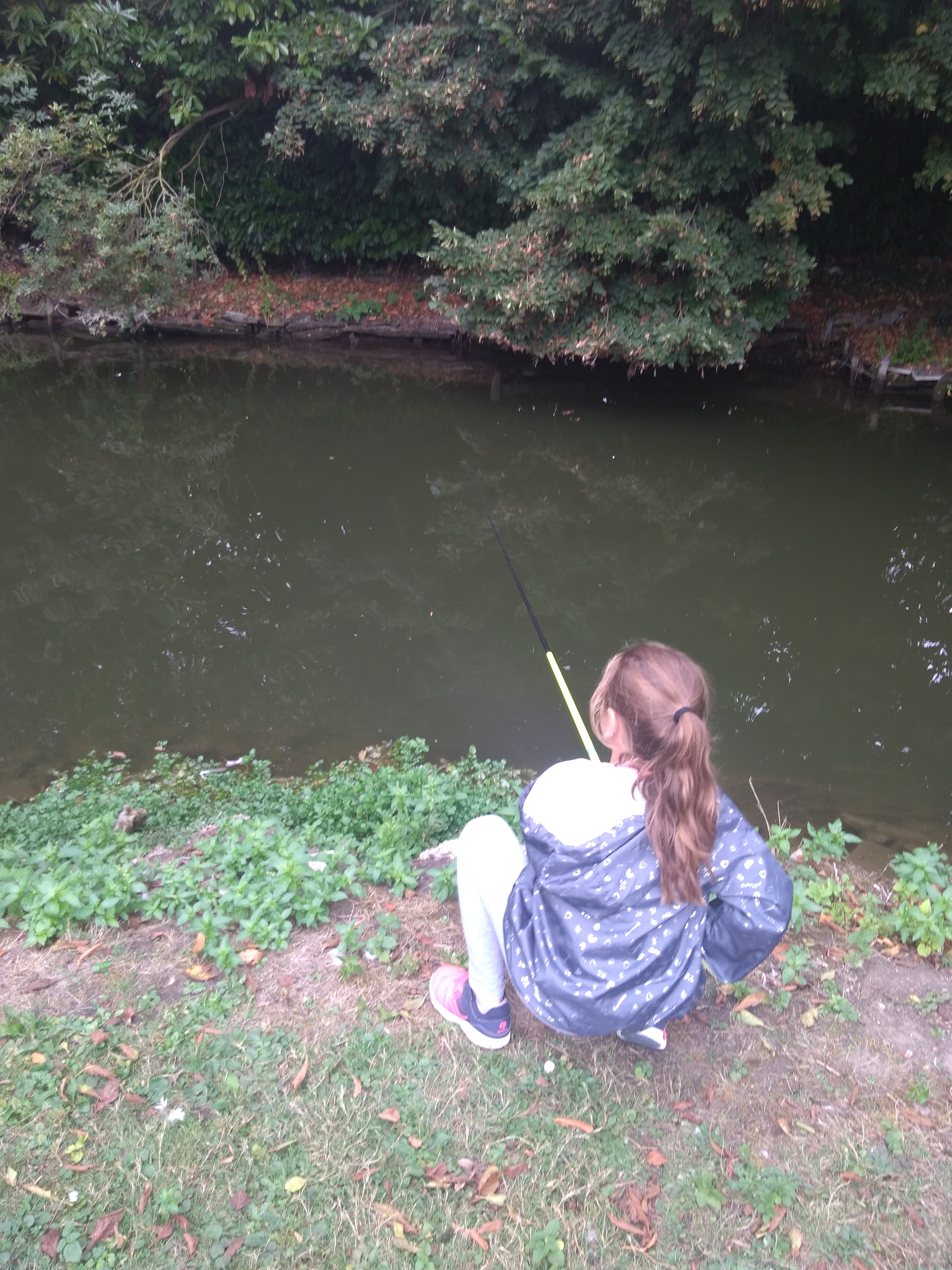 Photo n° 8 de l'avis de Virginie.5 fait le 08/09/2019 à 18:23