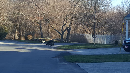 Golf Club «Louisquisset Golf Club», reviews and photos, 1 Overlook Pkwy, North Providence, RI 02904, USA