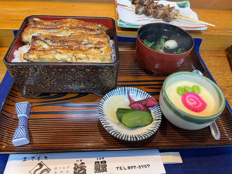 活鰻（いきうなぎ）