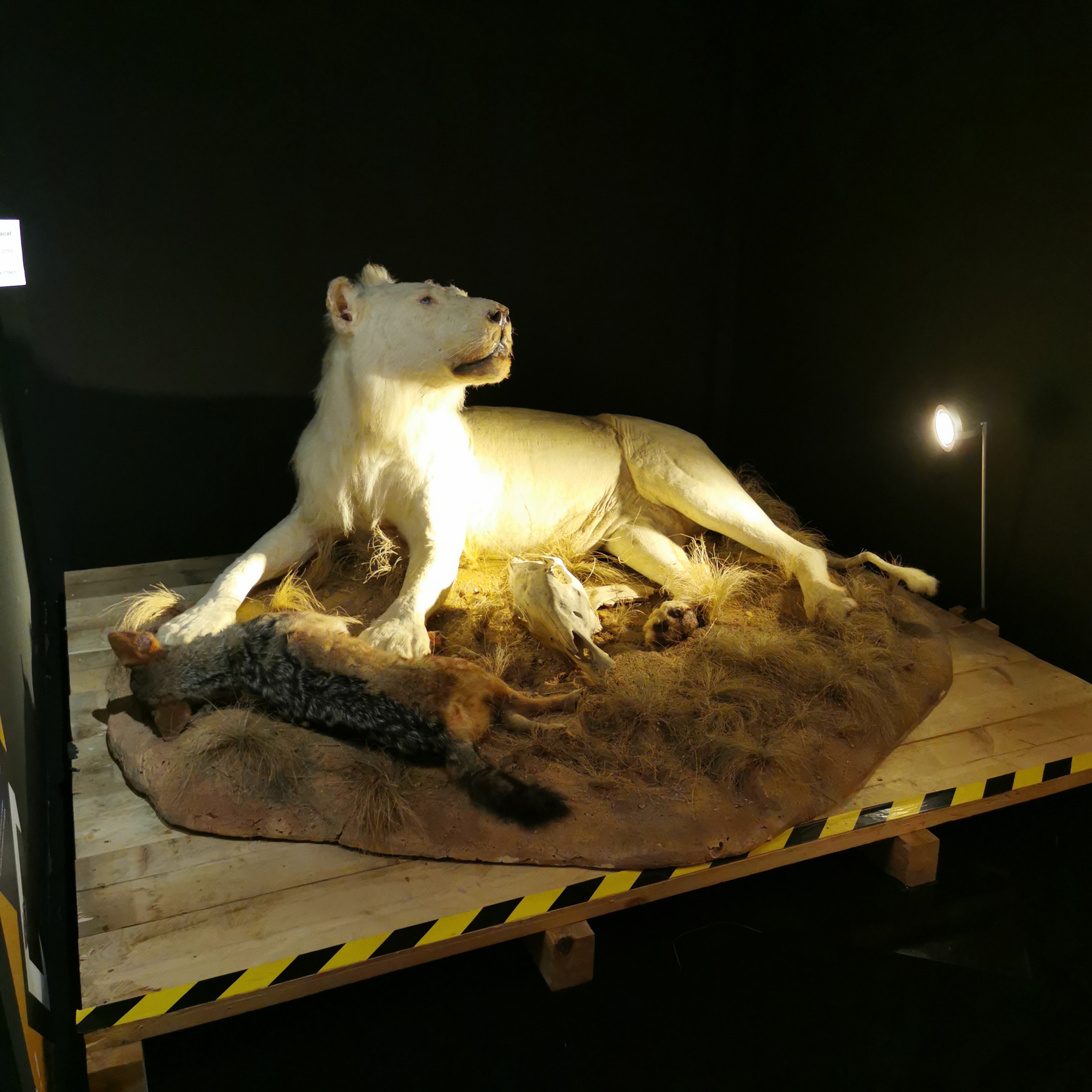 Photo n° 9 de l'avis de Laura.u fait le 22/12/2022 à 08:29