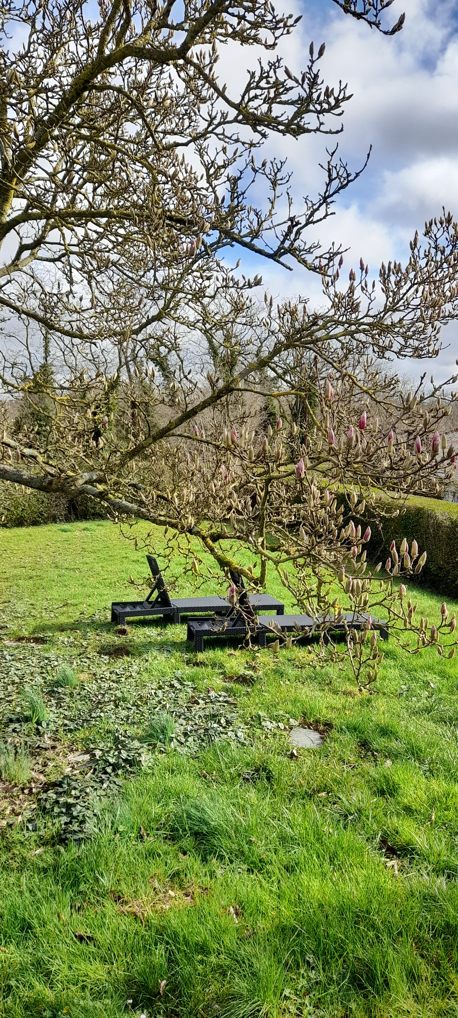 Photo n° 1 de l'avis de Ghislaine.e fait le 26/02/2024 à 20:28