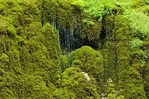 Waterfall At Chisatoare image