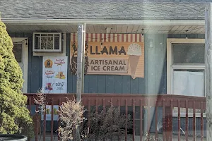 Llama Ice Cream image