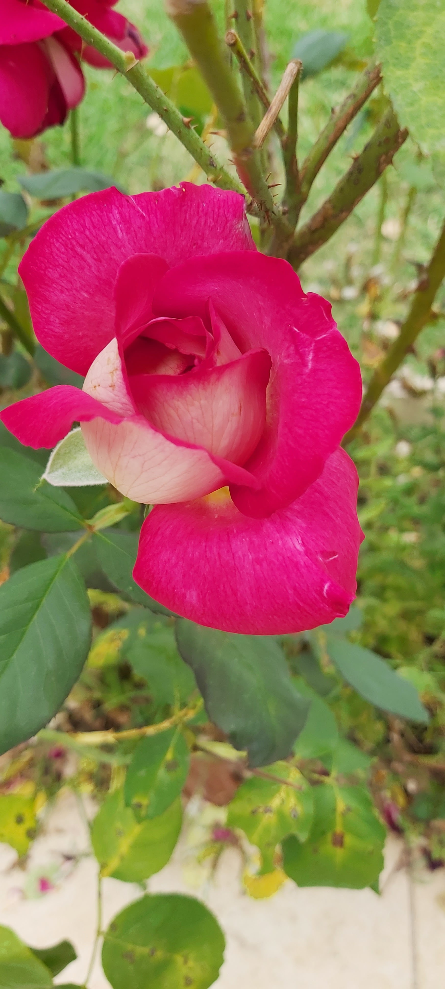 Photo n° 6 de l'avis de stephane.e fait le 26/05/2016 à 21:42