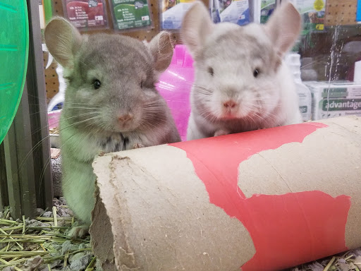 Pet Supply Store «Pet Supplies Plus», reviews and photos, 860 Sunbury Rd, Delaware, OH 43015, USA