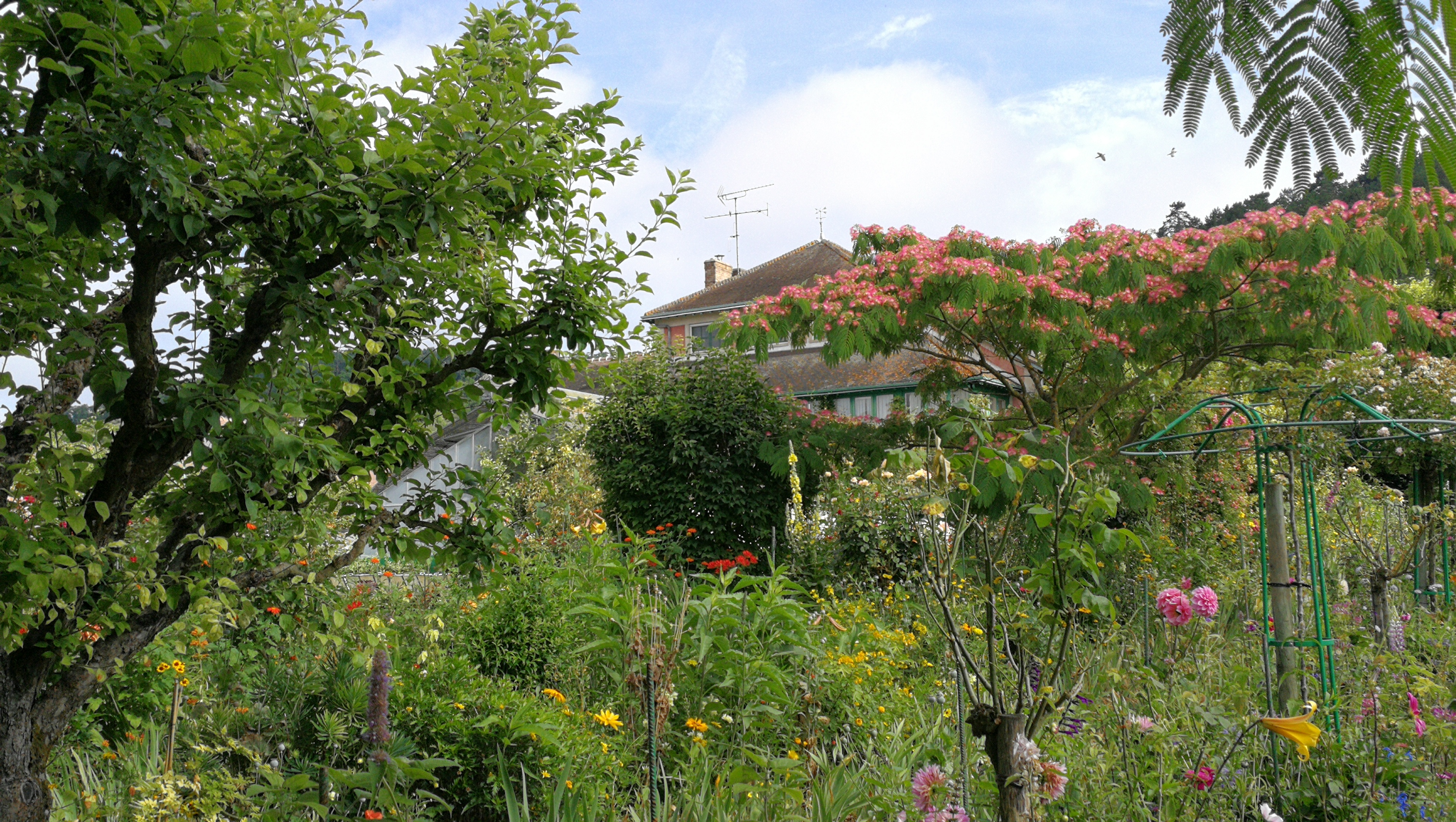 Photo n° 8 de l'avis de barbe.e fait le 10/07/2018 à 17:25