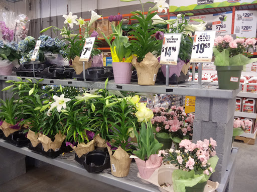 Home Improvement Store «The Home Depot», reviews and photos, 80 Buckland Hills Dr, Manchester, CT 06042, USA