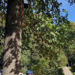 Photo n°2 de l'avis de h.e fait le 03/10/2019 à 20:07 sur le  Das Baumhaus - Kletterbistro à Velbert