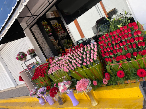 Florería La Orquidea – Temascalapa