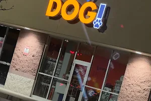 Every DOG! image