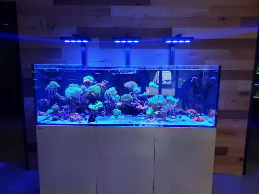 Aquarium «The Reef Shoppe», reviews and photos, 1969 East Ridge Road, Rochester, NY 14622, USA