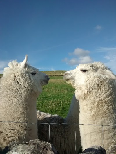 Photos of Cleggan Farm Holiday Cottages