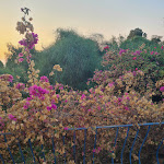 Photo n°2 de l'avis de Pergriso. fait le 25/08/2023 à 07:21 sur le  Hotel Principessa De Navarra à Tancau sul Mare