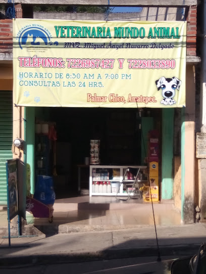 Veterinary Animal World, , Palmar Chico