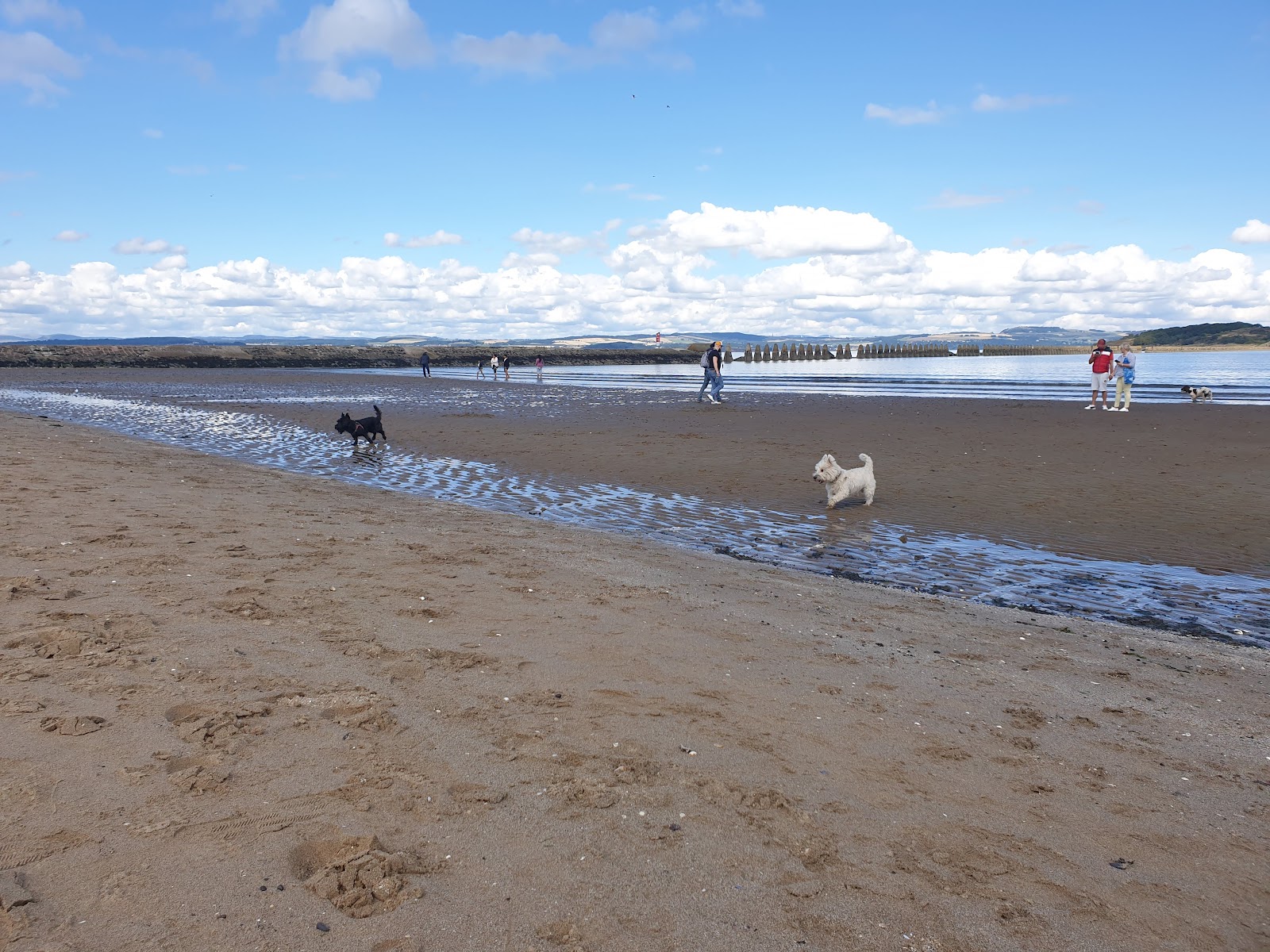 Cramond Beach photo #6