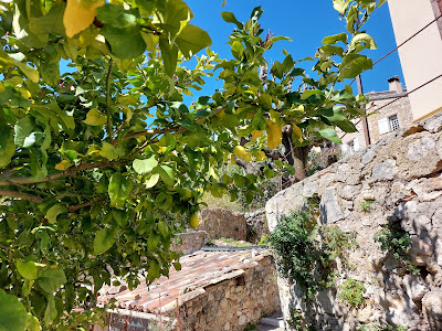 Jardin de la mairie à Le Broc