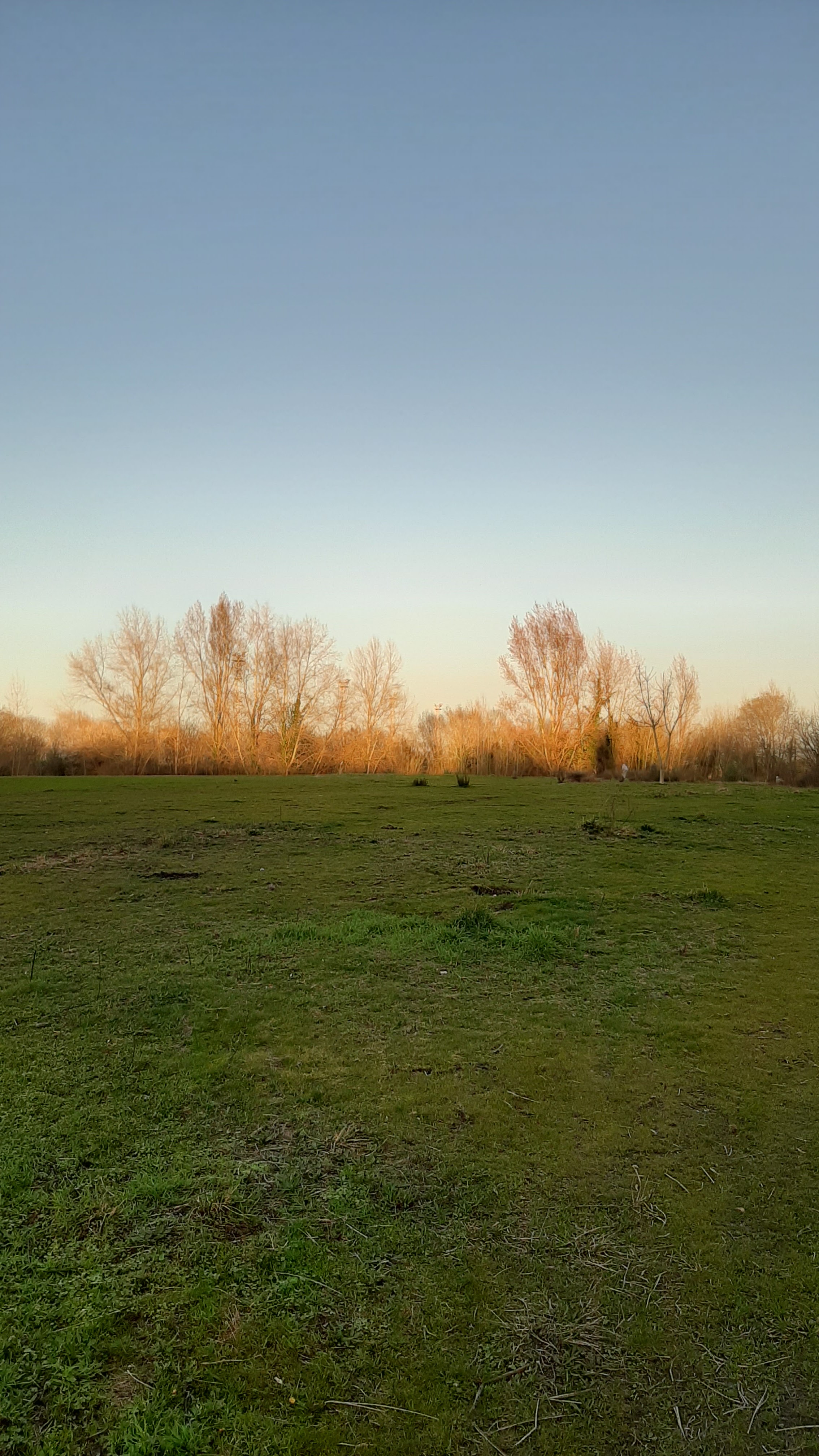 Photo n° 7 de l'avis de Nour.r fait le 25/02/2021 à 00:56