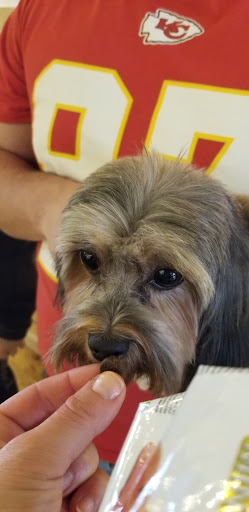 Pet Supply Store «Brookside Barkery & Bath», reviews and photos, 118 W 63rd St, Kansas City, MO 64113, USA