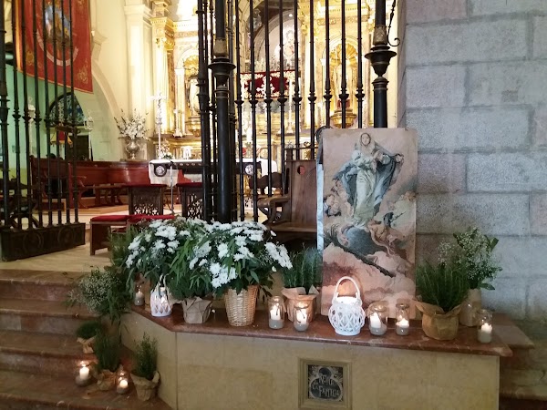 Floristeria Campoverde Jaén