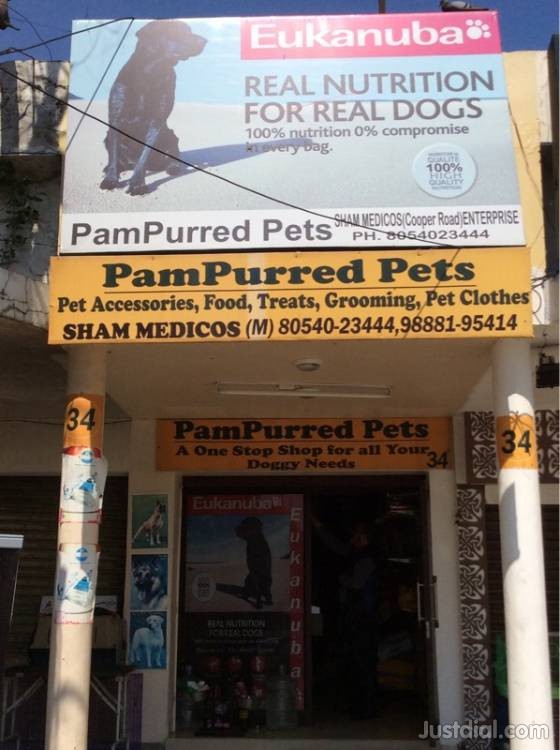 PAMPURRED PETS