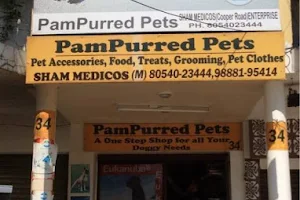 PAMPURRED PETS image