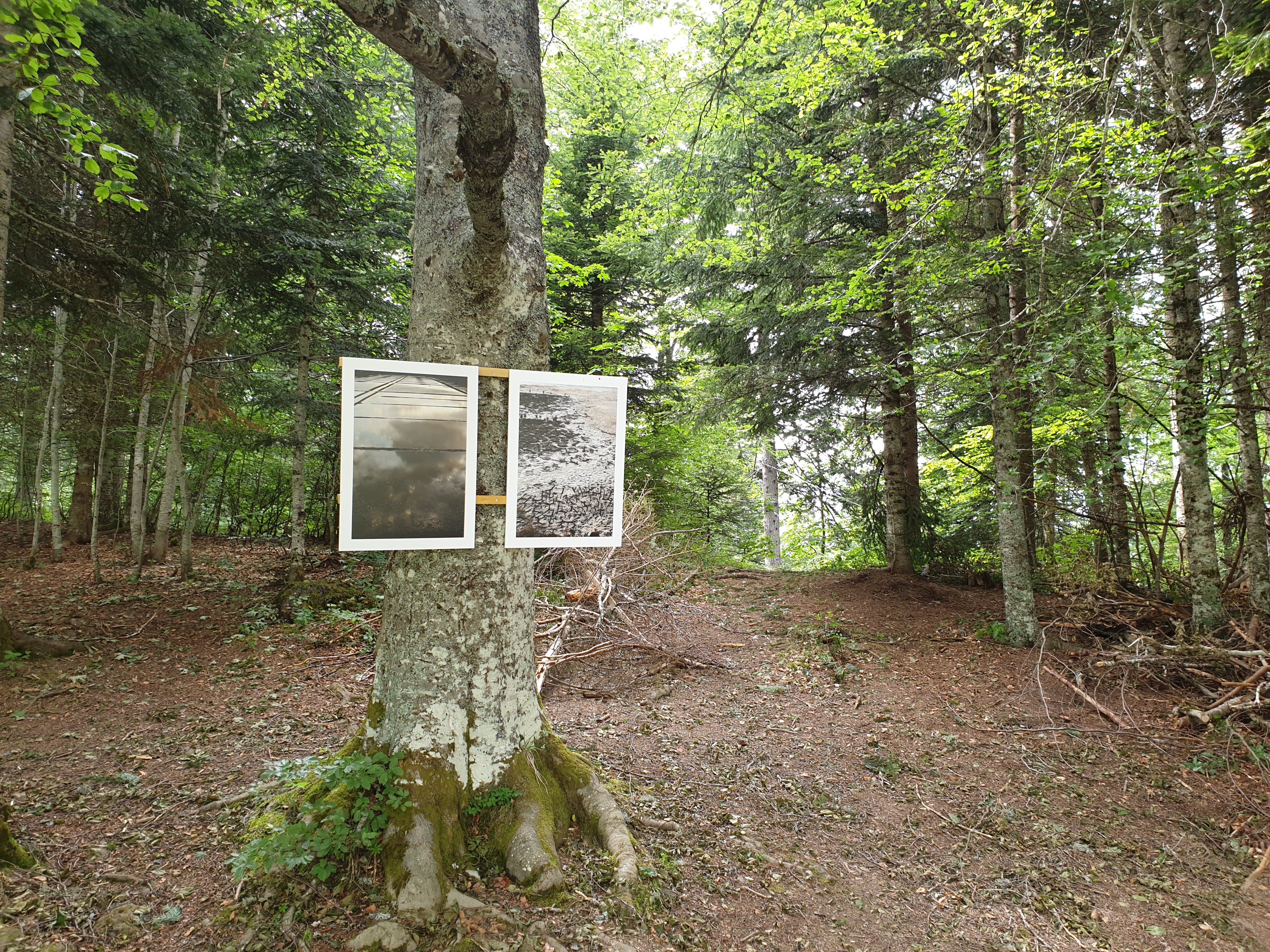 Photo n° 2 de l'avis de Laurent.o fait le 11/07/2019 à 18:58