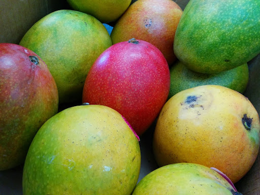 Grocery Store «Indian Supermarket», reviews and photos, 9400 N MacArthur Blvd # 114, Irving, TX 75063, USA