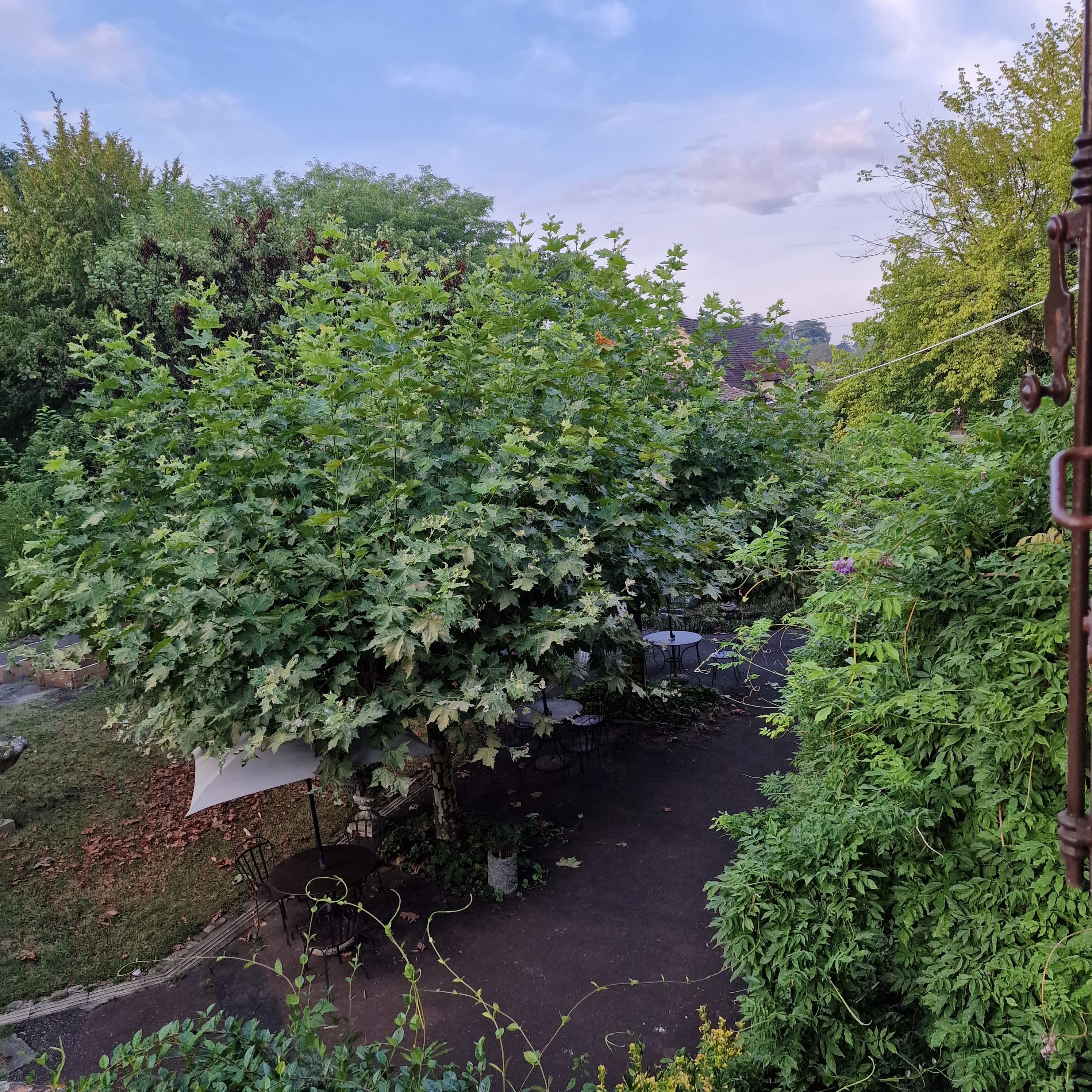 Photo n° 3 de l'avis de Manu.l fait le 18/08/2023 à 20:42