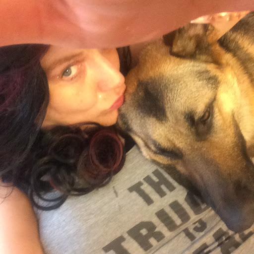 Pet Supply Store «Pet Supplies Plus», reviews and photos, 3100 Manchester Rd, Akron, OH 44319, USA