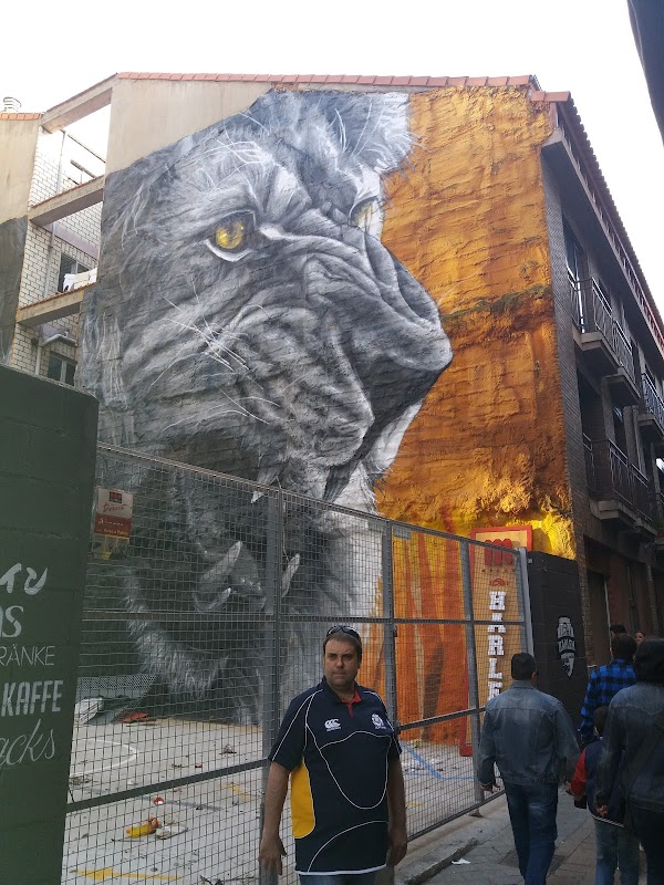 Imagen de Restaurante El Palomo (15 de 18)