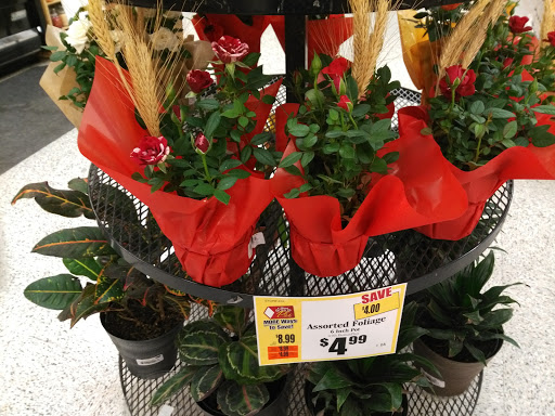 Department Store «TOPS Friendly Markets», reviews and photos, 150 Main St, Bradford, PA 16701, USA