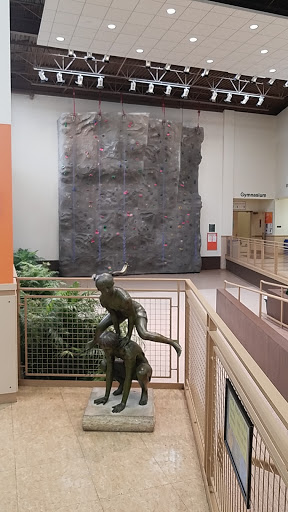 Community Center «Bolingbrook Park District», reviews and photos, 201 Recreation Dr, Bolingbrook, IL 60440, USA