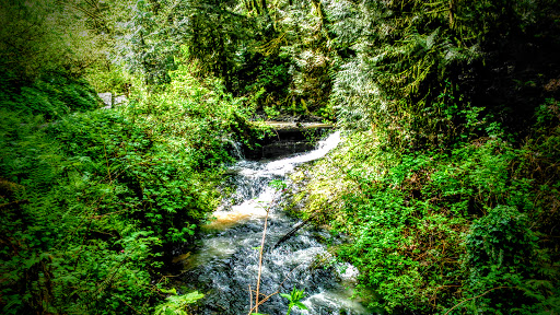 Park «Macleay Park», reviews and photos, NW 29th Ave & Upshur St, Portland, OR 97210, USA