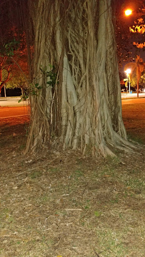 Golf Club «Miami Springs Golf & Country Club», reviews and photos, 650 Curtiss Pkwy, Miami Springs, FL 33166, USA