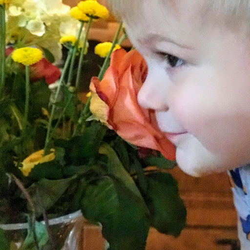 Insurance Agency «Paul Henderson - State Farm Insurance Agent», reviews and photos