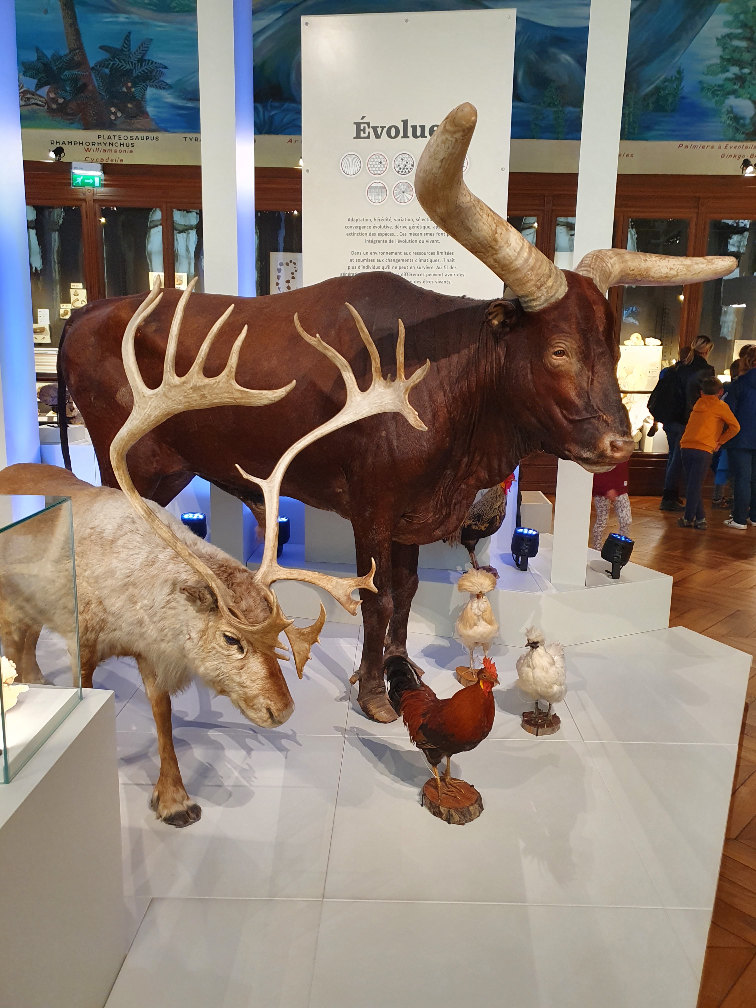 Photo n° 1 de l'avis de Delphine.A fait le 21/04/2022 à 13:42