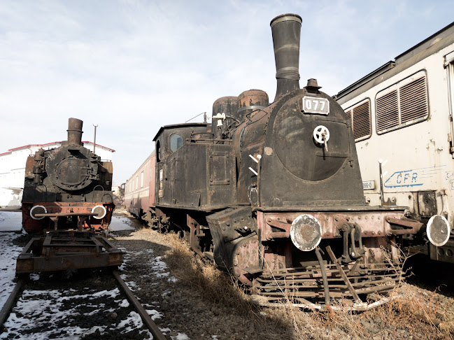 Opinii despre Muzeul Locomotivelor cu Abur din Sibiu în <nil> - Muzeu