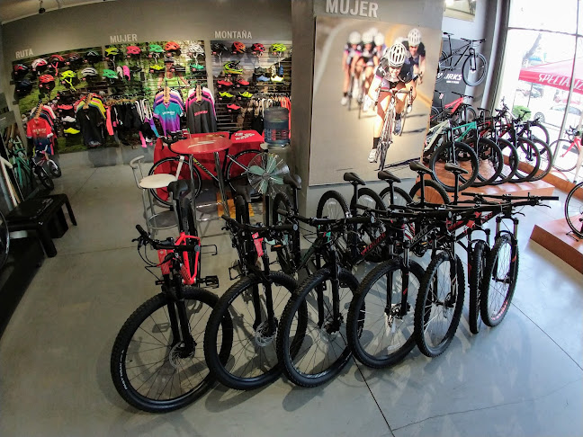 Opiniones de Bike Chile - Specialized en Viña del Mar - Tienda de bicicletas