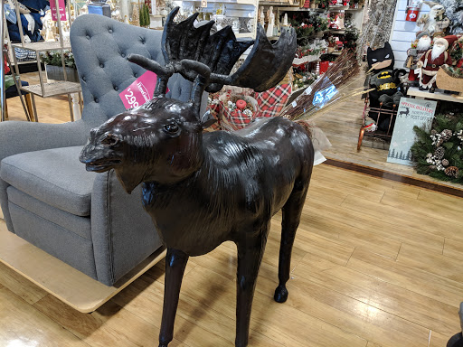 Department Store «HomeGoods», reviews and photos, 7170 E Broadway Blvd, Tucson, AZ 85710, USA