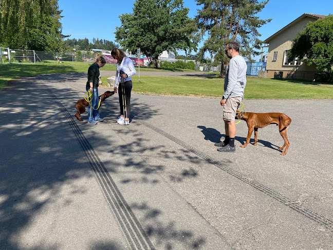 Rezensionen über A-Z-Hundetraining in Arbon - Hundeschule