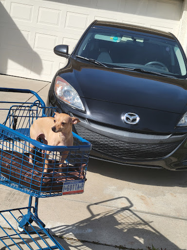 Car Wash «Quick Quack Car Wash - South Natomas», reviews and photos, 3436 Northgate Blvd, Sacramento, CA 95834, USA