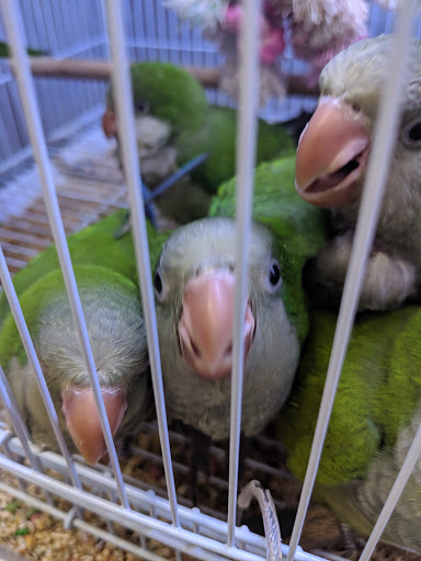 Pet Store «Animal Ark Pet Stores», reviews and photos, 33 Center St, Orem, UT 84057, USA