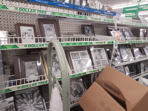 Dollar Store «Dollar Tree», reviews and photos, 7003 Concourse Pkwy q, Douglasville, GA 30134, USA